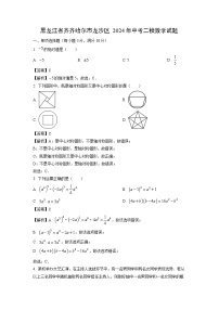 黑龙江省齐齐哈尔市龙沙区2024年中考二模数学试题（解析版）