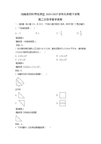 河南省郑州市经开区2024-2025学年九年级下学期第二次联考数学试卷（解析版）