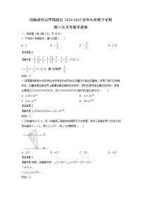 河南省周口市郸城县2024-2025学年九年级下学期第一次月考数学试卷（解析版）