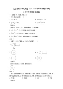 辽宁省鞍山市高新区2024-2025学年九年级下学期3月中考模拟数学试题（解析版）