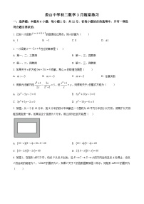 上海市娄山中学2024-2025学年下学期3月月考八年级数学试卷（原卷版+解析版）