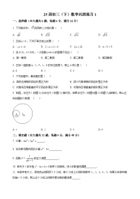 上海市民办上宝中学2024-2025学年九年级下学期数学第一次月考试题（原卷版+解析版）