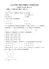 上海市闵行区部分学校2024-2025学年九年级下学期3月考数学试题（原卷版+解析版）
