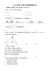 上海市闵行区七宝文来学校2024-2025学年下学期3月月考七年级数学卷（原卷版+解析版）