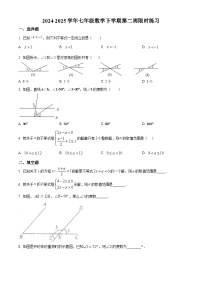 上海市同济附中2024-2025学年七年级下学期数学3月月考试卷（原卷版+解析版）