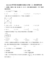 四川省成都市双流区2024-2025学年九年级上学期期末数学试题（原卷版+解析版）