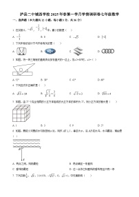 四川省泸州市泸县二中城西学校2024-2025学年七年级下学期3月月考数学试题（原卷版+解析版）