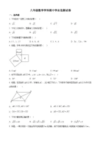 天津市天津市十一校联考2024-2025学年八年级下学期4月期中数学试题（原卷版+解析版）