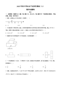 浙江省杭州树兰中学2024-2025学年九年级下学期第一次月考数学试题（原卷版+解析版）