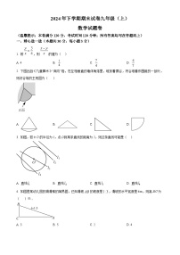 浙江省金华市东阳市2024-2025学年九年级上学期1月期末考试数学试题（原卷版+解析版）