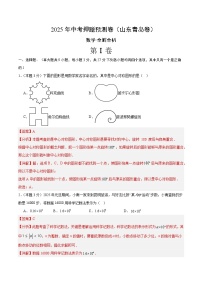 2025年中考押题预测卷：数学（山东青岛卷）（解析卷）
