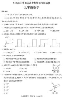 2025年许昌市中考二模数学试卷和参考答案