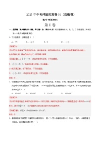 2025年中考押题预测卷：数学（安徽卷01）（解析版）