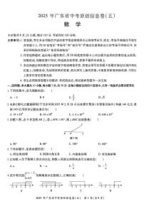 2025年广东省东莞市石碣新民学校中考数学原创信息卷(五)（中考模拟）