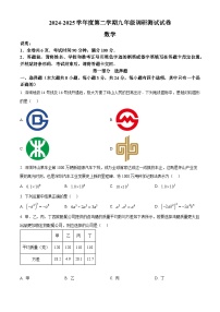 2025年广东省深圳市坪山区中考二模数学试卷（中考模拟）