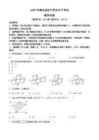 2025年湖北省咸丰县中考适应性考试数学试题（二） （中考模拟）