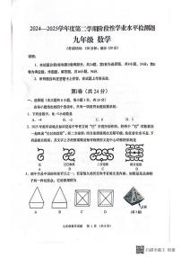 2025年山东省青岛市西海岸二模九年级数学试题（中考模拟）