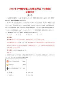 2025年中考数学第三次模拟考试数学(云南卷)含解析