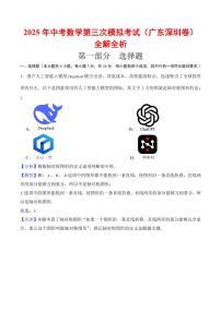 2025年中考数学第三次模拟考试数学(深圳卷)含解析