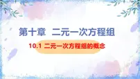 人教版（2024）七年级下册（2024）二元一次方程组的概念课文配套课件ppt