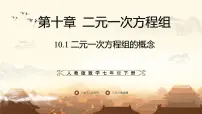 人教版（2024）七年级下册（2024）二元一次方程组的概念图片ppt课件