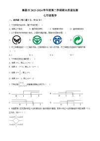 吉林省长春市德惠市2023-2024学年七年级下学期期末数学试题(含答案与解析)