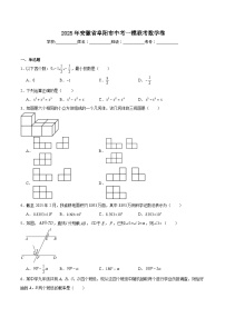 安徽省阜阳市2025届九年级下学期中考一模数学试卷(含解析)