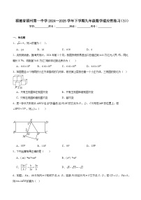 福建省福州第一中学2025届九年级下学期适应性练习（3）数学试卷(含解析)