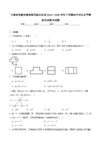 甘肃省张掖市肃南裕固族自治县2025届九年级下学期初中学业水平模拟考试数学试卷(含解析)