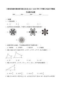 甘肃省张掖市肃南裕固族自治县2025届九年级下学期开学摸底考试数学试卷(含解析)