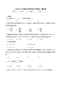 广东省阳江市阳西县2025届九年级下学期中考一模数学试卷(含解析)