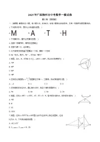 广西壮族自治区柳州市2025届九年级下学期中考一模数学试卷(含答案)