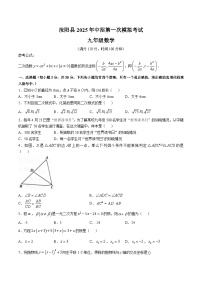 河南省洛阳市汝阳县2025届九年级下学期中考一模数学试卷(含答案)