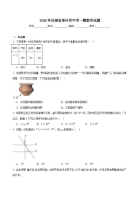 河南省郑州市2025届九年级下学期中考一模数学试卷(含解析)
