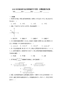 河南省驻马店市驿城区2025届九年级下学期中考一模数学试卷(含答案)