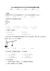 湖北省2025届初中学业水平考试诊断训练数学试卷(含解析)