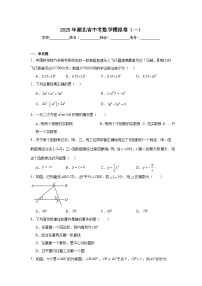 湖北省2025届九年级下学期中考模拟（一）数学试卷(含答案)