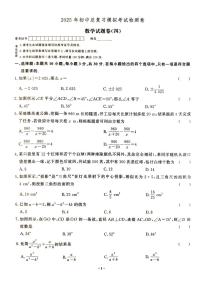 2025年湖南省张家界市桑植县中考二模数学试卷(图片版含答案)
