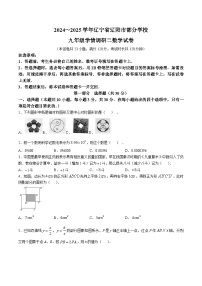 辽宁省辽阳市部分学校2025届九年级下学期中考二模数学试卷(含答案)