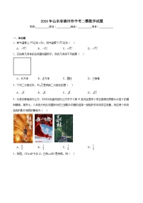 山东省德州市2024届九年级下学期中考第二次练兵考试数学试卷(含解析)