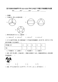 四川省南充市高坪中学2025届九年级下学期开学检测数学试卷(含解析)