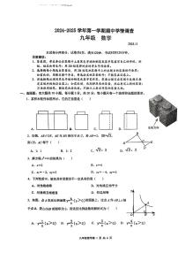 广东省深圳市龙华区外国语学校2024-2025学年九年级上学期期中考试数学试卷