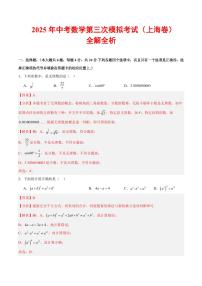 2025年中考数学第三次模拟考试数学(上海卷)（含答案）