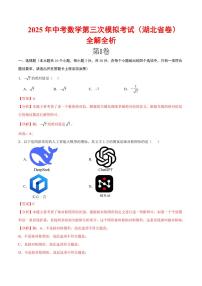 2025年中考数学第三次模拟考试数学(湖北卷)（含答案）