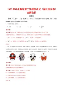 2025年中考数学第三次模拟考试数学(湖北武汉卷)（含答案）
