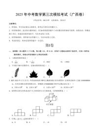 2025年中考数学第三次模拟考试数学(广西卷)含答案解析