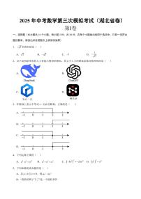 2025年中考数学第三次模拟考试数学(湖北卷)含答案解析