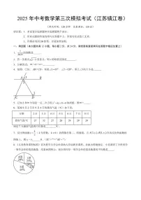 2025年中考数学第三次模拟考试数学(镇江卷)含答案解析