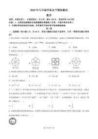 2025广东省佛山禅城区中考二模数学试卷(原卷版)