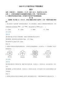 2025广东省佛山禅城区中考二模数学试卷(解析版)